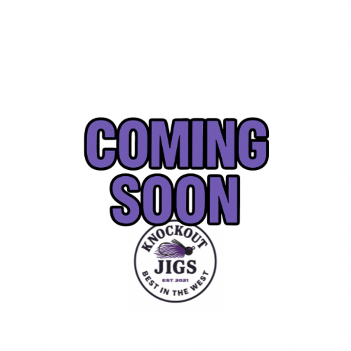 1/16 oz. Finesse Tungsten Jigs